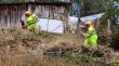 Programa de Empleo de CONAF refuerza labores preventivas ante incendios forestales en La Araucanía