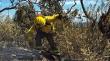 Papudo: detienen a presunto autor de incendio forestal en Salinas de Pullally