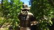 Operativo en Petorca permite decomisar más de 3 mil plantas de marihuana