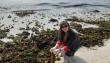 Científica impulsa proteína sustentable a base de algas marinas chilenas