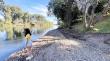 Despejan la ribera del Parque Bellavista para acercar a la comunidad y turistas al río Rahue