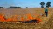 Levantan restricción del uso del fuego como quema controlada para las provincias de Biobío y Arauco