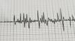 Sismo de menor intensidad se percibió en la Región de Valparaíso
