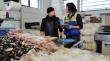 Semana Santa: a 330 aumentan las fiscalizaciones a productos del mar en el Biobío