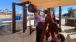 Mejillones inaugura gimnasio al aire libre en el borde costero con equipamiento sustentable