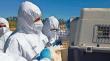 Refuerzan prevención tras confirmarse nuevo caso de influenza aviar en Ñuble
