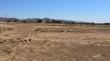 Tribunal Ambiental: dejan sin efecto término anticipado de la evaluación del proyecto “Parque Fotovoltaico Oxum del Tamarugal”