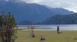 Colbún presentó al Consejo Regional de Los Lagos un plan de recuperación del lago Chapo