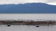 SMA notificó posicionamiento de los Centros de Engorda de Salmones en la zona sur austral
