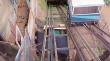 Valparaíso: temor genera ruco bajo el Ascensor San Agustín