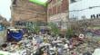 Ratones se pasean por patios y pasillo del colegio Carlos Cousiño de Valparaíso