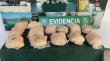 Detienen a pasajero de bus que transportaba casi 15 kilos de marihuana en Nogales