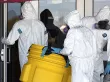 La OMS teme exportación regional del brote de ébola, declarado emergencia internacional