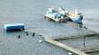 Corte de Apelaciones de Puerto Montt frena entrega de información de empresas salmoneras