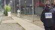 Hombre fue asesinado a tiros en Pedro Aguirre Cerda y trabajadora de negocio resultó herida en la pierna por esquirla