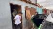 Desarticulan bandas rivales y detienen a 12 personas tras violentas balaceras en Antofagasta