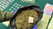 Golpe al narcotráfico local: Operativo de Carabineros en San Antonio deja cinco detenidos
