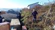 Realizan labores de limpieza y mantención en el Cementerio Municipal de Ancud