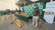 Incautan casi 400 kilos de marihuana en Hijuelas avaluados en $4 mil millones