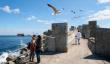 Puerto Exterior de San Antonio obtiene luz verde ambiental y marca un hito para la infraestructura portuaria del país