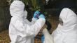 Provincia de Chiloé concentra los focos de gripe aviar en la Región de Los Lagos