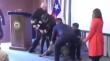 Valparaíso: perro antidrogas se abalanzó al bolsillo de un oficial en ceremonia de la Armada