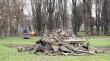Osorno: parten obras de la última etapa del Parque Hott en terreno de la ex cancha de los viejos crack
