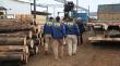 Detienen a 17 miembros de asociación delictiva dedicada al robo de madera en Ñuble