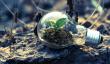 Día Mundial del Medioambiente: Informe advierte que la crisis del agua podría costar billones a la economía mundial