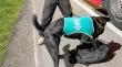 Sorprenden con droga a un pasajero en un bus en San Pablo