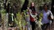 Los Andes impulsa reforestación de 50 árboles nativos por el Día Mundial del Medio Ambiente