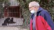 Valparaíso es la región con más ataques mortales de perros en Chile