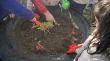 Niños y niñas de jardín infantil participaron en jornada de arborización