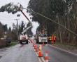 CGE refuerza su Plan Invierno en La Araucanía con inspección de 10 mil postes y atención prioritaria a electrodependientes