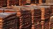 Cochilco entregará en septiembre resultados preliminares de auditoría por producción de Codelco