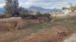 Meloninos acusan al municipio de Nogales de contaminarlos tras informe de la DGA