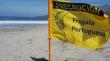 Salud prohíbe bañarse en playas de Tocopilla por presencia de fragata portuguesa