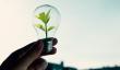Energías renovables consolidan su liderazgo y avanzan hacia una matriz eléctrica más resiliente