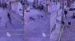 [VIDEO] Turista fue atacado por jauría de perros en cerro Concepción de Valparaíso