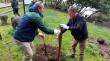 Conaf impulsa nuevo programa en Biobío que busca fortalecer acciones de arborización