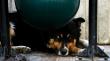Crece la presión por un mayor control de los perros callejeros en Valparaíso
