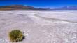 Codelco recurre a la justicia tras reparos de Contraloría por proyecto de litio en Salar de Ascotán