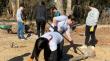 Papudo: trabajo voluntario renovó espacios comunitarios de Pullally