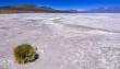 Codelco retiró acción judicial contra Contraloría por proyecto de litio en Salar de Ascotán
