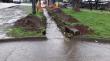 Piden soluciones definitivas a inundaciones en sector Ovejería Bajo de Osorno