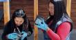 Alerta por zancudo Aedes aegypti: Salud inspeccionará 1.180 viviendas en Tocopilla