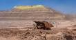 Antofagasta Minerals alcanzó producción de 285.000 toneladas en primer semestre 2026, con un baja de 9,5%