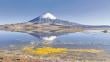 Contraloría detecta falencias de Conaf en protección del Parque Nacional Lauca