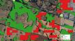 Tecnología satelital fortalece la protección del bosque nativo en La Araucanía