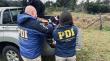 PDI rescata a dos canes por abandono y maltrato animal en sector rural de Cunco